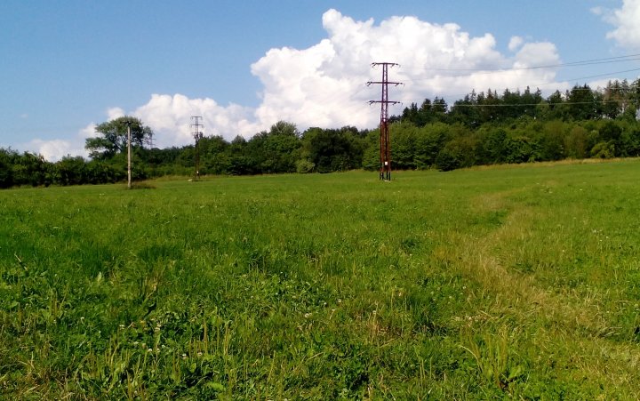 Ako sa ničí zeleň v Žiline v čase klimatických zmien.